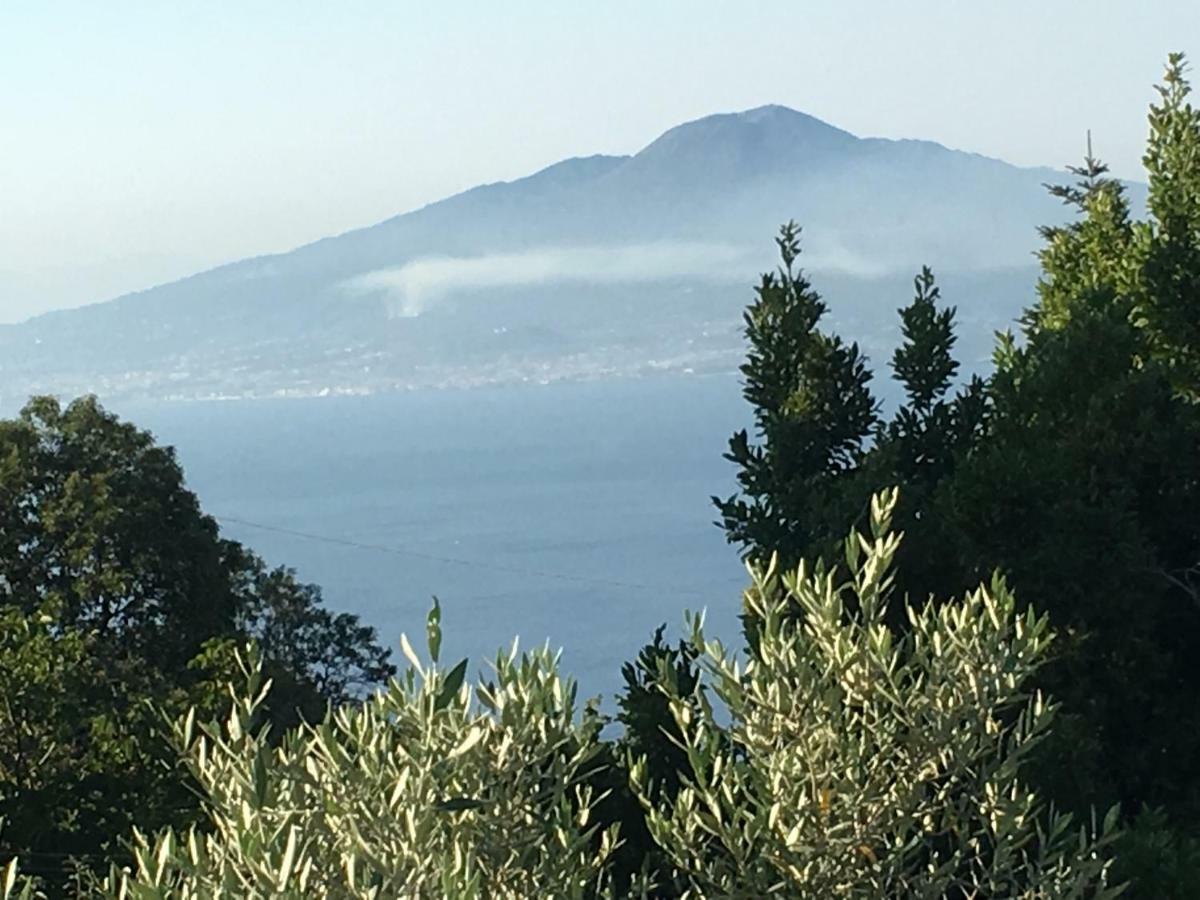 Annabelle Luxury Guest House SantʼAgata sui Due Golfi Extérieur photo